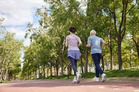 [德甲]第28轮：弗赖堡1-4多特蒙德 集锦